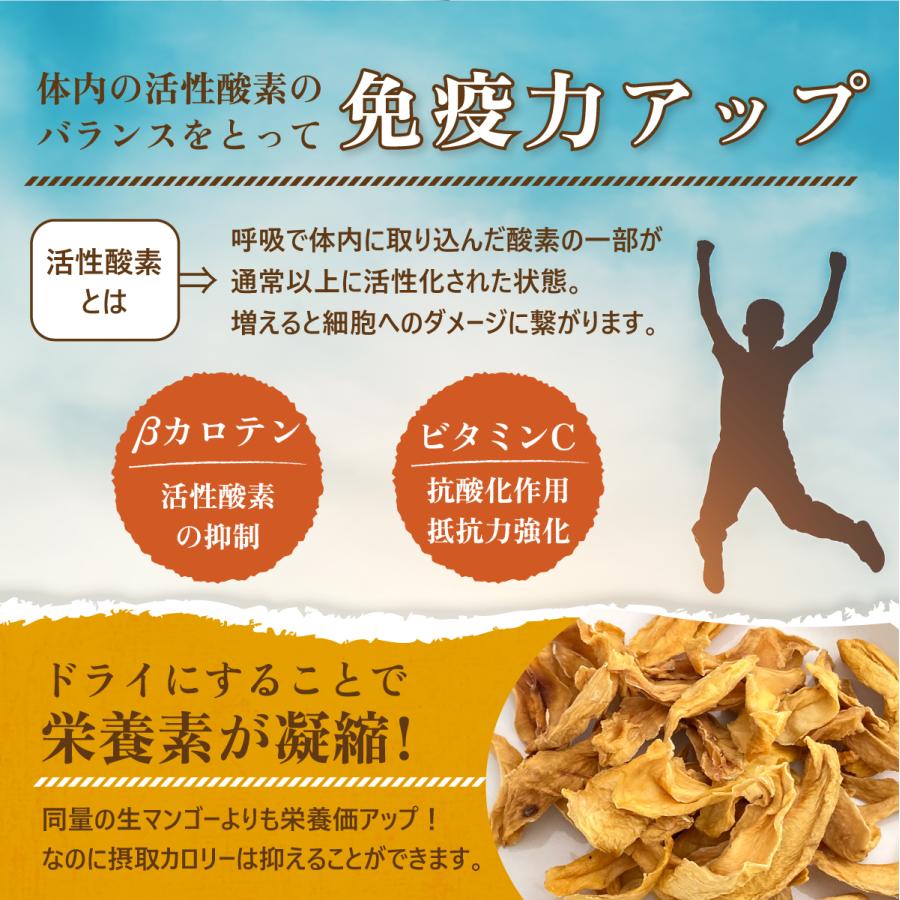 ドライマンゴー 有機 オーガニック 100g スリランカ マンゴー ドライ