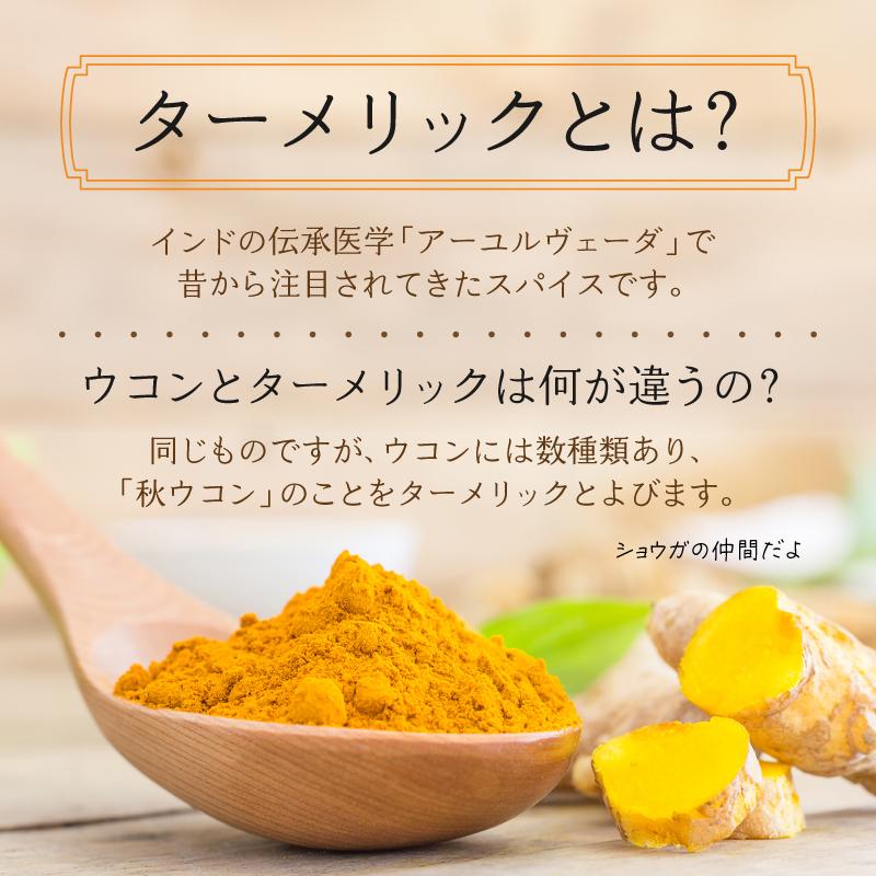 ターメリック パウダー オーガニック 100g 粉末 有機 JAS認証 無添加