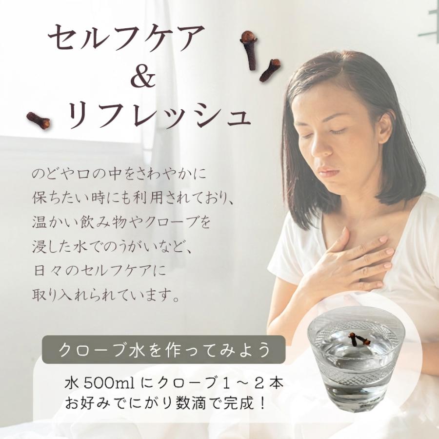 有機 無添加 クローブ ホール オーガニック ゴキブリ 対策 300g