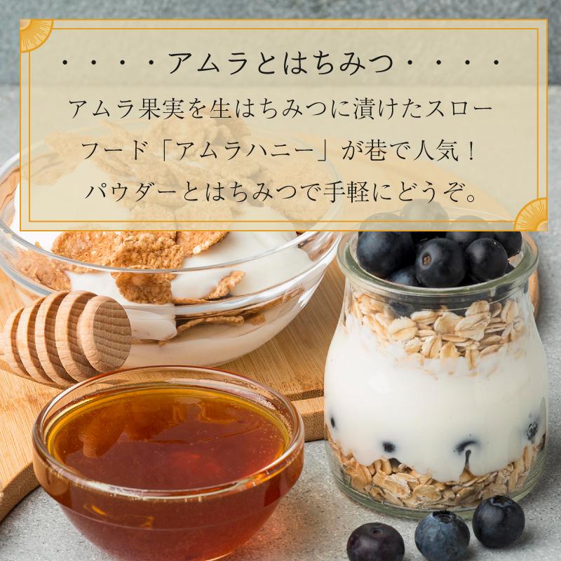 アムラパウダー 無添加 オーガニック 100g 有機 JAS認証 粉末 アムラ