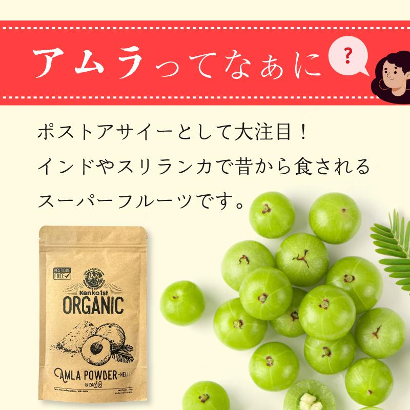 アムラパウダー 無添加 オーガニック 100g 有機 JAS認証 粉末 アムラ