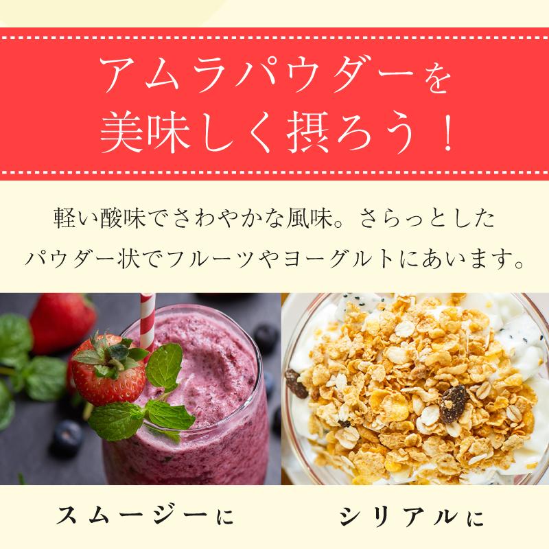 アムラパウダー 無添加 オーガニック 100g 有機 JAS認証 粉末 アムラ