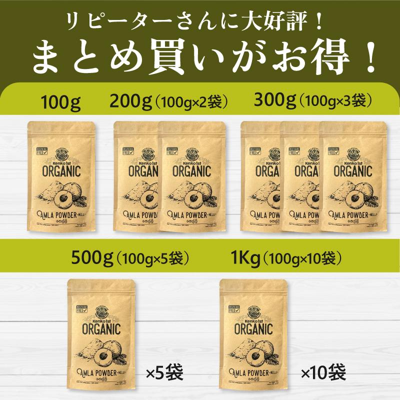 アムラ 100% パウダー アムラパウダー 有機 無添加 オーガニック 500g