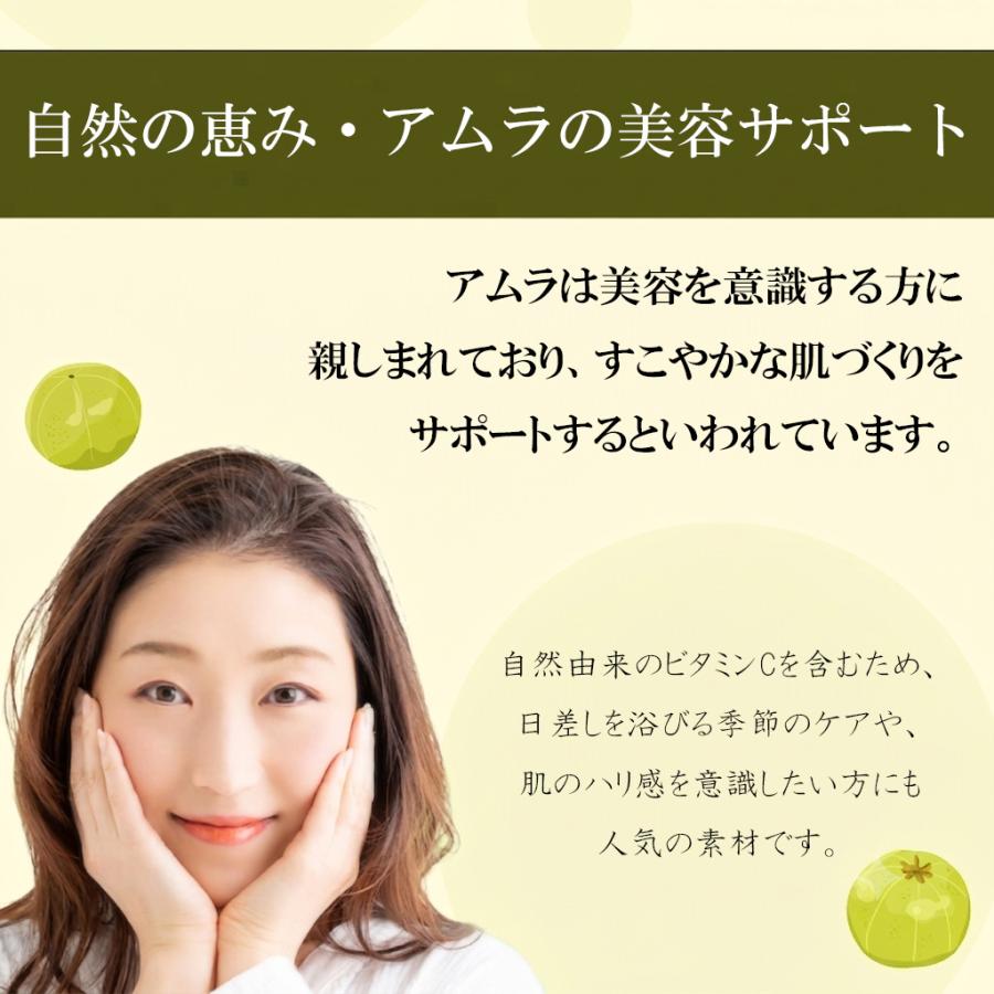 アムラ 100% パウダー アムラパウダー 有機 無添加 オーガニック 500g