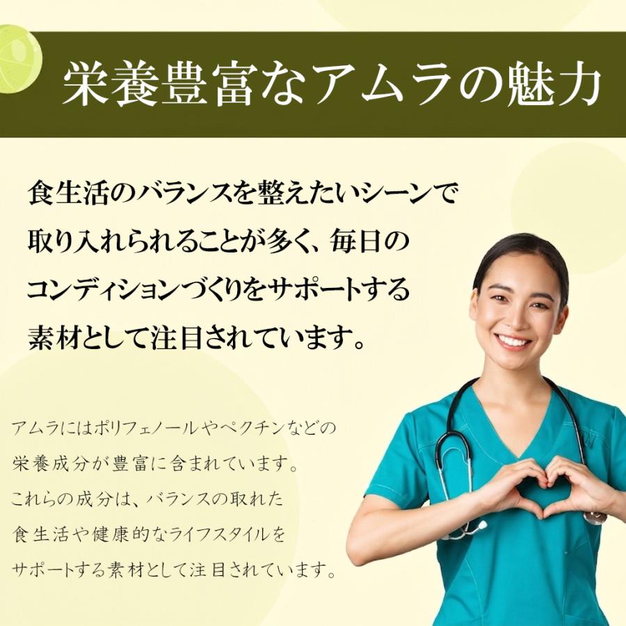 アムラ 100% パウダー アムラパウダー 有機 無添加 オーガニック 500g