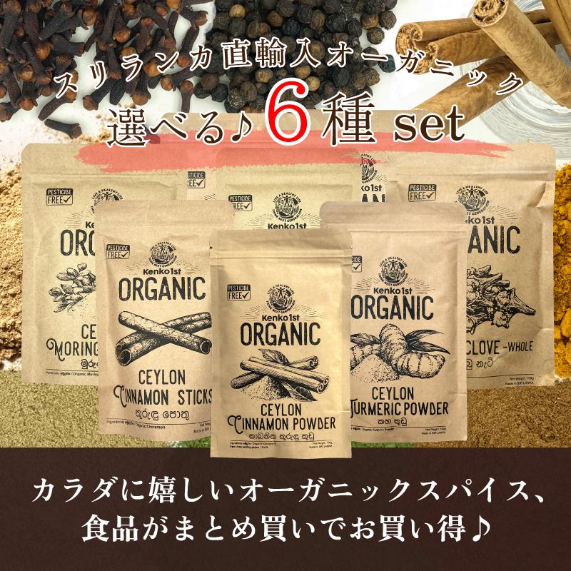 セイロンキシタアゲハ♂標本☆スリランカ☆ 106mm入手困難エリア鮮度