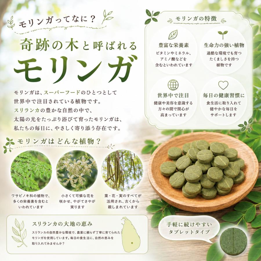 モリンガタブレット 無農薬 オーガニック 無添加 2袋 有機JAS