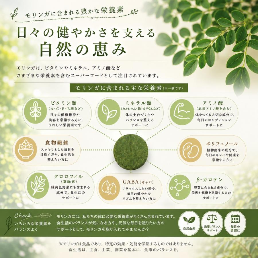 モリンガタブレット 無農薬 オーガニック 無添加 2袋 有機JAS