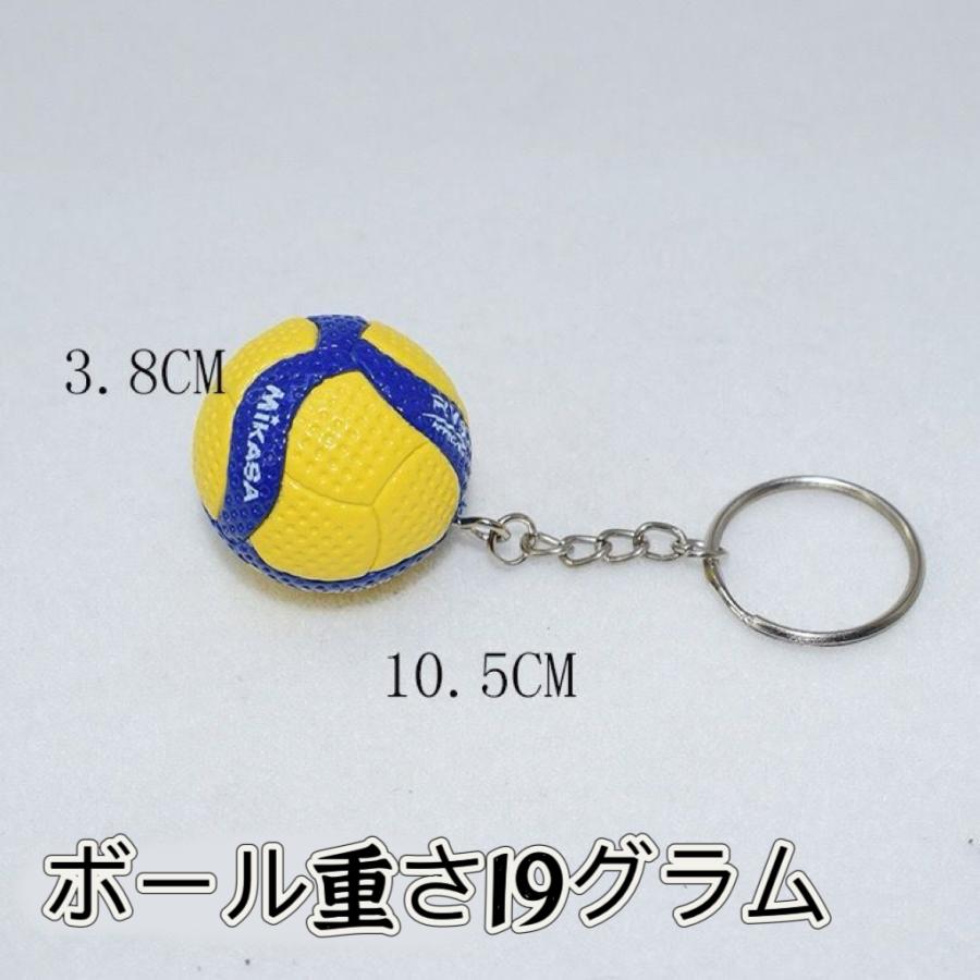 卒団記念品　バレーボールキーホルダー　5色　ストラップ　記念品　部活　引退　卒業　卒団　卒部　ギフト　プレゼント　オリジナル |  | 08