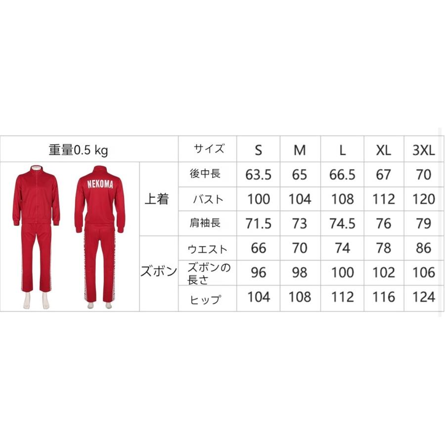 FUKUYAMA HEISEI 26 ユニフォーム 上下セット FUKUYAMA HEISEI 26 ユニフォーム 上下セット