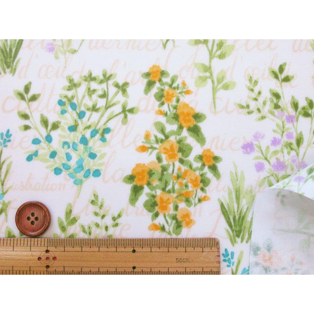 セブンベリー ボタニカルフラワー 英字 フラワー・花柄 オックス生地
