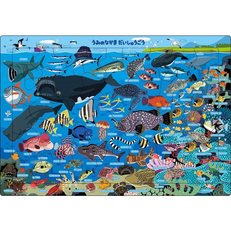 アポロ社のピクチュアパズル うみのなかま だいしゅうごう 46ピース 子ども向けパズル 25 109 25 109 アポロ社 梱80cm ジグソーパズル友蔵 通販 Yahoo ショッピング