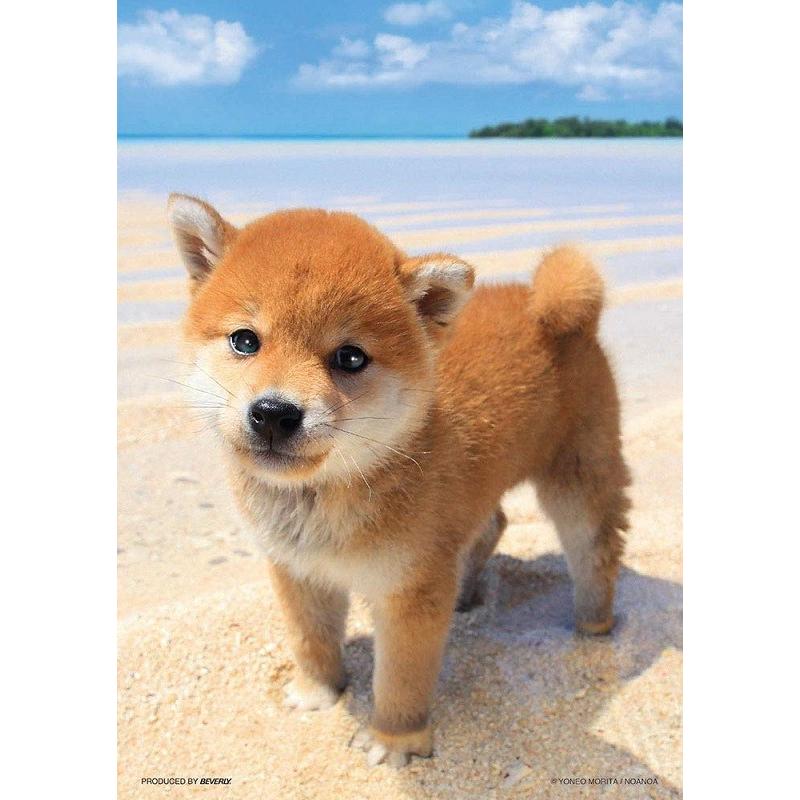 【美品即日発送】鈴木英人　パラダイスベイ　ジグソーパズル　ビバリー　108ピース 美品即日発送】鈴木英人 パラダイスベイ ジグソーパズル ビバリー 108