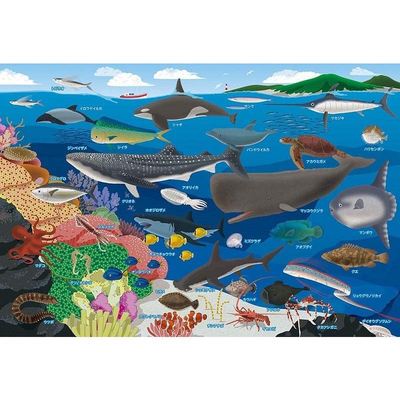 ビバリー 80ピースジグソーパズル 海の生き物おぼえちゃおう ラージピース 26 38cm 80 029 ビバリー 梱60cm ジグソーパズル友蔵 通販 Yahoo ショッピング