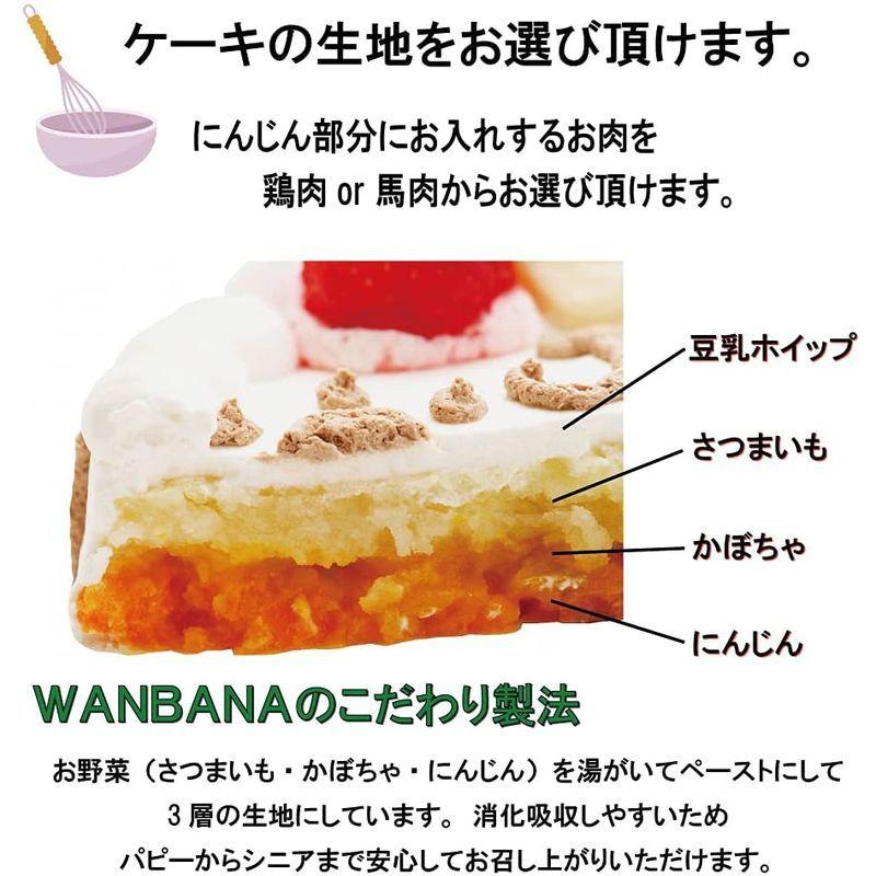 犬用無添加誕生日ケーキ Happy Dayケーキ4号ササミ入り ドッグフード オヤツ ごちそう プレゼント 手作り食 人気 無添加 トッピン