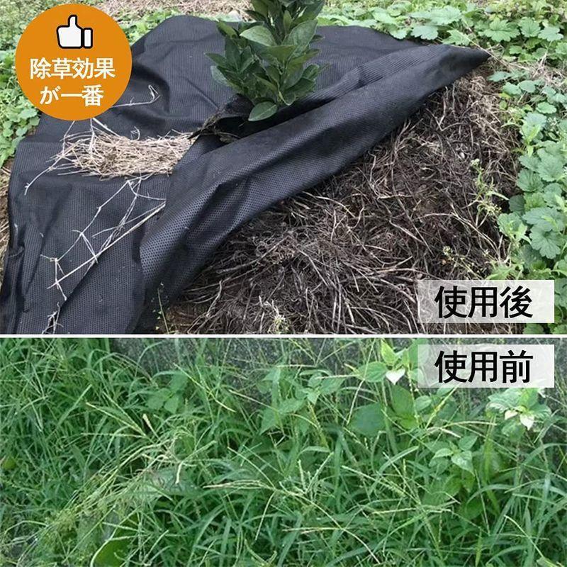 21年防草シート 除草シート 1 50m 不織布 1 50m 固定ピン50本と黒丸50枚付き 厚手 99 遮光 高耐久 高透水性 99 遮光 高 Tomozoo 高透水性 Uv耐候剤配合 値段 中古 買取