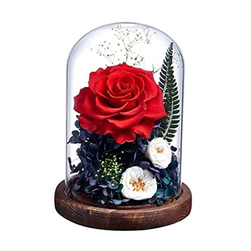 安い大セール プリザーブドフラワー ガラスドーム 母の日 記念日 誕生日 薔薇 ドライフラワー バラ 枯れない花 フラワーギフト プレゼント ギフトボック 今日一番安い Consorline Com Br