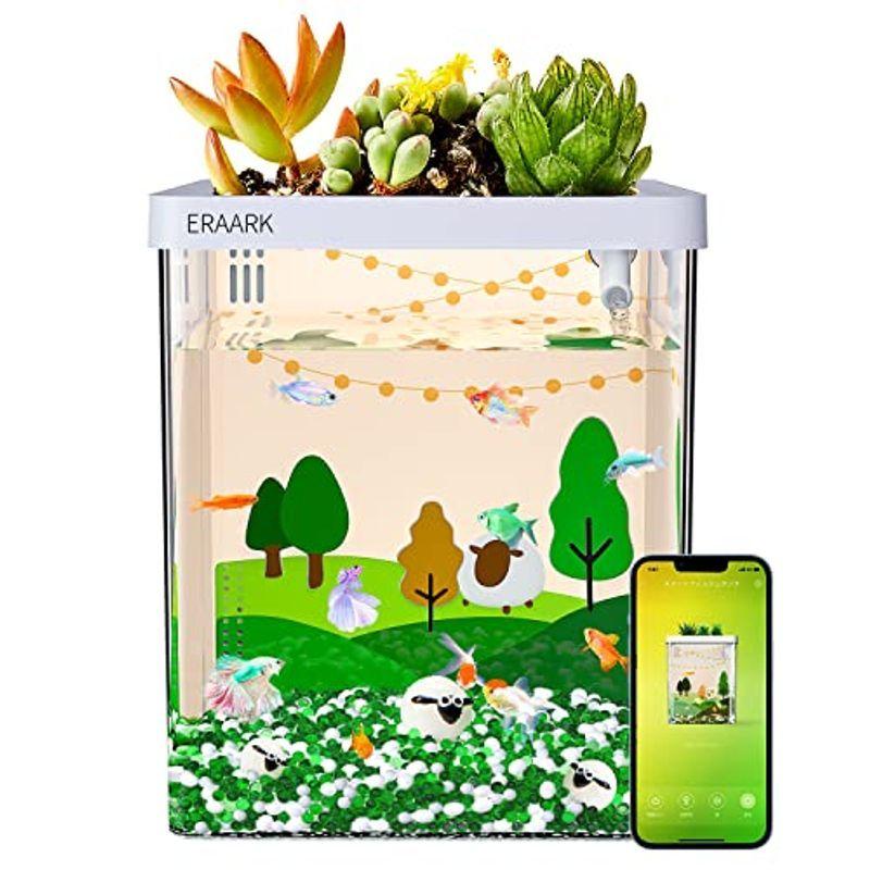 Eraarkミニ水槽 アクアリウム 小型 ベタ水槽セット 熱帯魚 メダカ飼育セット 金魚鉢 Bluetoothに対応したスマートな水槽 Le オカリナshop 通販 Yahoo ショッピング