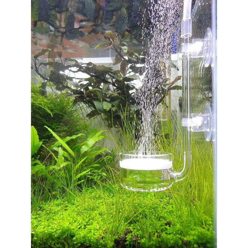 Co2ディフューザー ビートル 長い柄 ガラス製 直径４センチ 90 1cmサイズの水槽用 オカリナshop 通販 Yahoo ショッピング