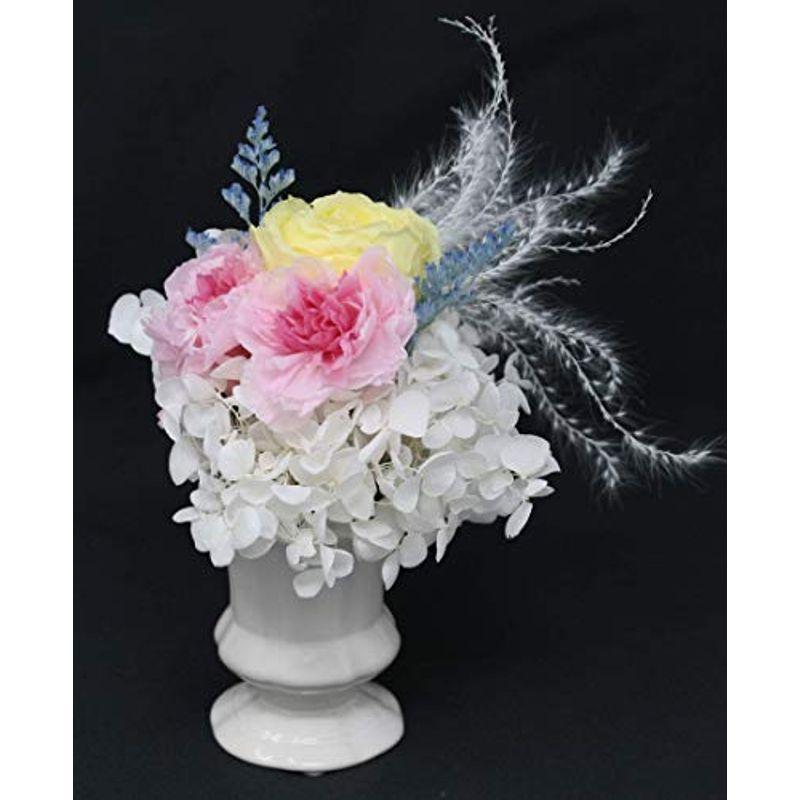 ショッピング販促 クレール プリザーブドフラワー 母の日 ホワイトデー フラワーギフト 誕生日 お祝い 結婚 記念日 結婚祝い 出産 就職 祝い プレゼント 安い直送 Ssl Daikyogo Or Jp