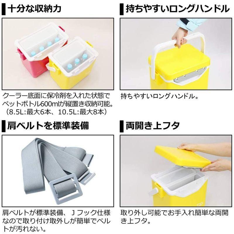 Astage アステージ フォレスクルー 10