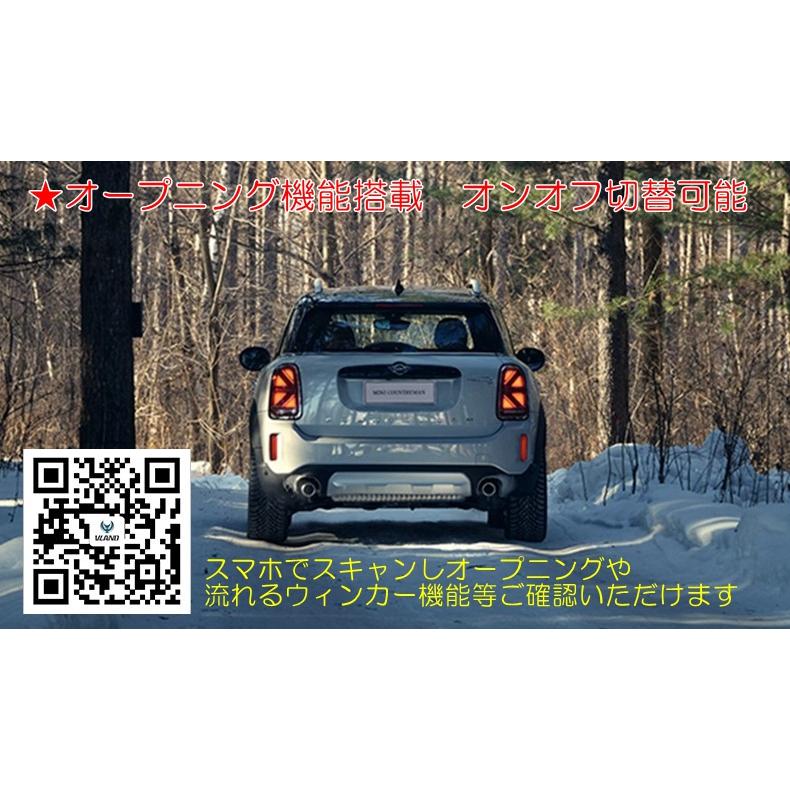 MINI（ミニ） VLAND F60クロスオーバー前期用 LEDテールランプ 流れる