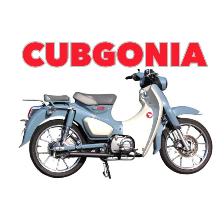 NEW スーパーカブ C125用マフラー CUBGONIA 〈カブゴニア〉ブラック