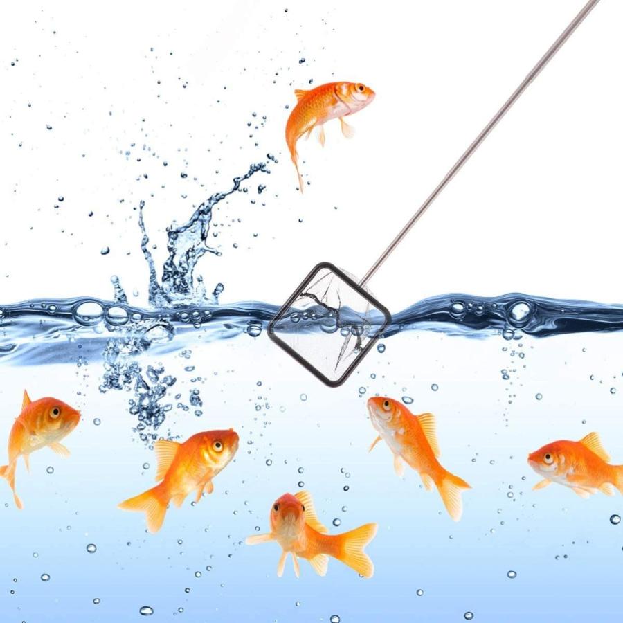 人気商品 スポイトamp フィッシュネット アクアリウム3点セット 観賞魚 水槽用具 選別網 Shipsctc Org