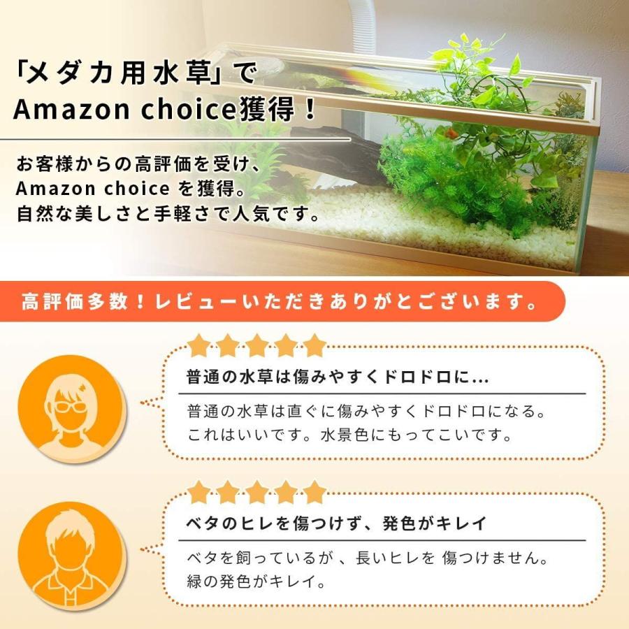 激安格安割引情報満載 Indigold 水槽オーナメント アクアリウム オブジェ 人工水草 観賞魚 熱帯魚 メダカ 隠れ家 小型水草セット