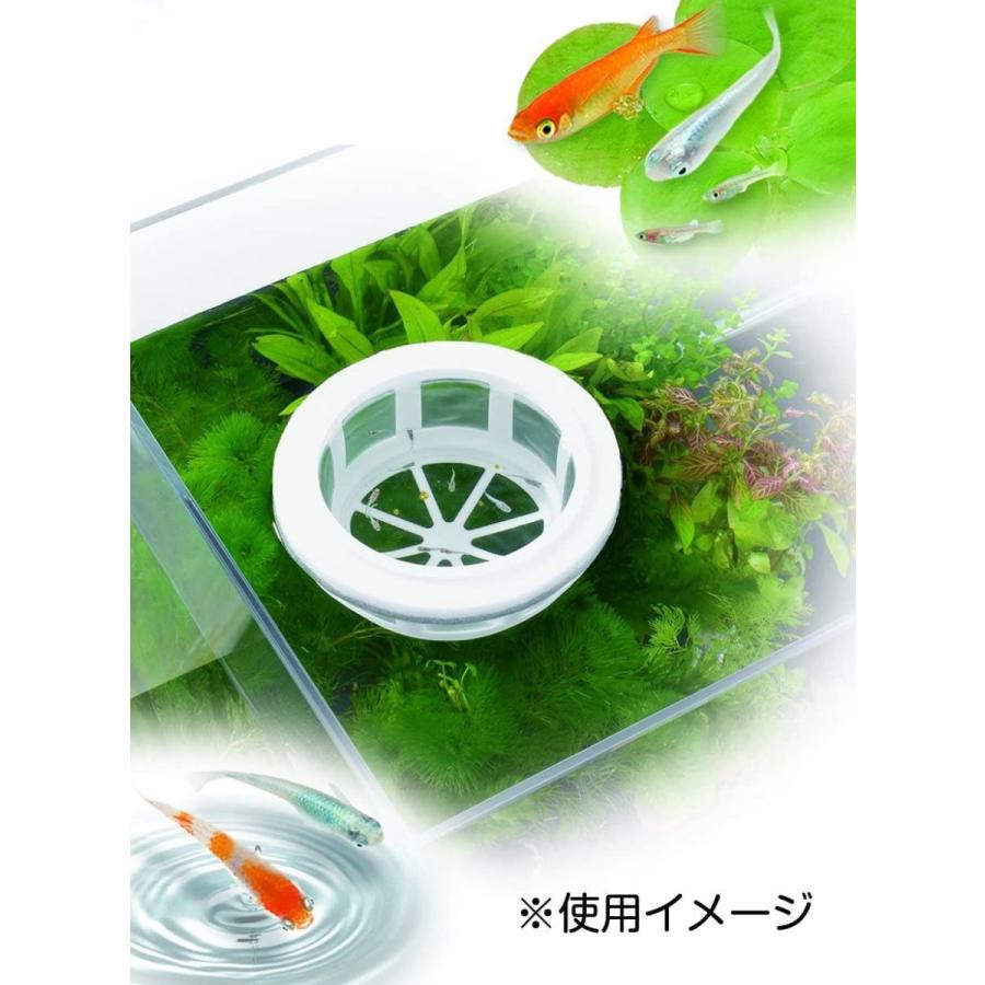 クーポン対象外 ジェックス メダカ元気 育成メッシュ 丸型 卵の孵化 稚魚の保護 育成用 食卵防止 メダカ飼育用 Recantosolasol Com Br