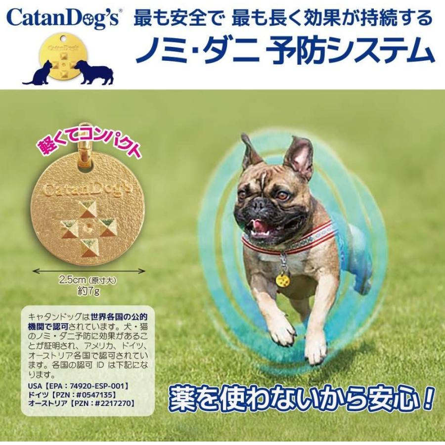 かわいい ポイント く ぽん 犬用のノミダニよけスポット スポットオン Fordogs 6回分 Qdtek Vn