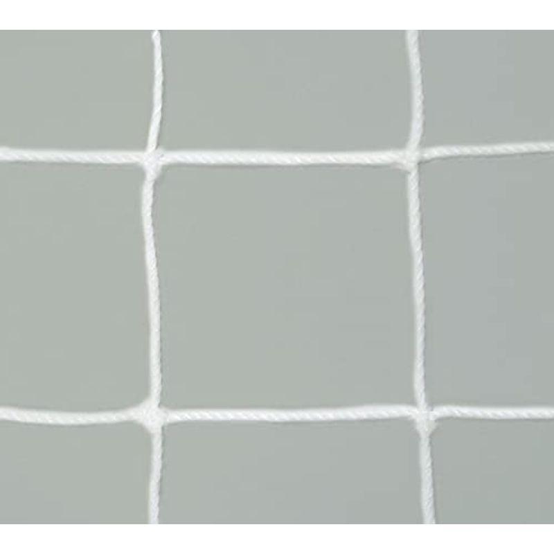 TOEI LIGHT(トーエイライト) フットサル・ハンドゴールネット 白 有結節 四角目 網目10cm角 2張1組 適合ゴールサイズ:幅3(11920円)