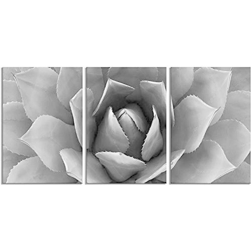 植物壁アートブルーagaveキャンバス印刷agaveフラワーストレッチとフレームアートキャンバス印刷キャンバス壁アートプリント16 X 36 4周年記念イベントが