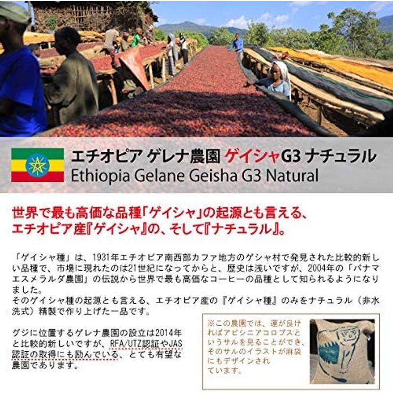 ★最終価格★ 箱詰め松屋珈琲 コーヒー生豆 エチオピア ゲレナ農園 ゲイシャG3 ナチュラル (10kg箱) 【2776325526】(17341円)