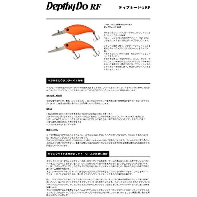 スミス(SMITH LTD) ディプシードゥ2RF RHW 01｜tomy-zone｜03