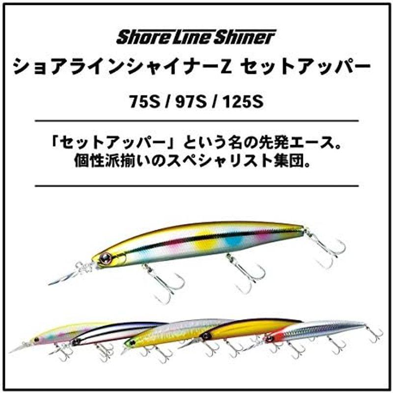 ダイワ(DAIWA) シーバス ルアー ショアラインシャイナーＺセットアッパー１２５Ｓ アデルチャートコノシロ｜tomy-zone｜17