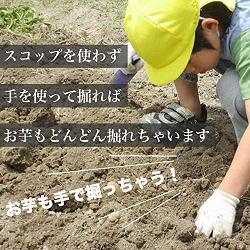 軍手工房 子供婦人用軍手（小学生〜） 3双入 のびのび綿素材 生成 芋掘り/キャンプ/バーベキュー/DIY/アスレチック 編み目の細かい13｜tomy-zone｜19