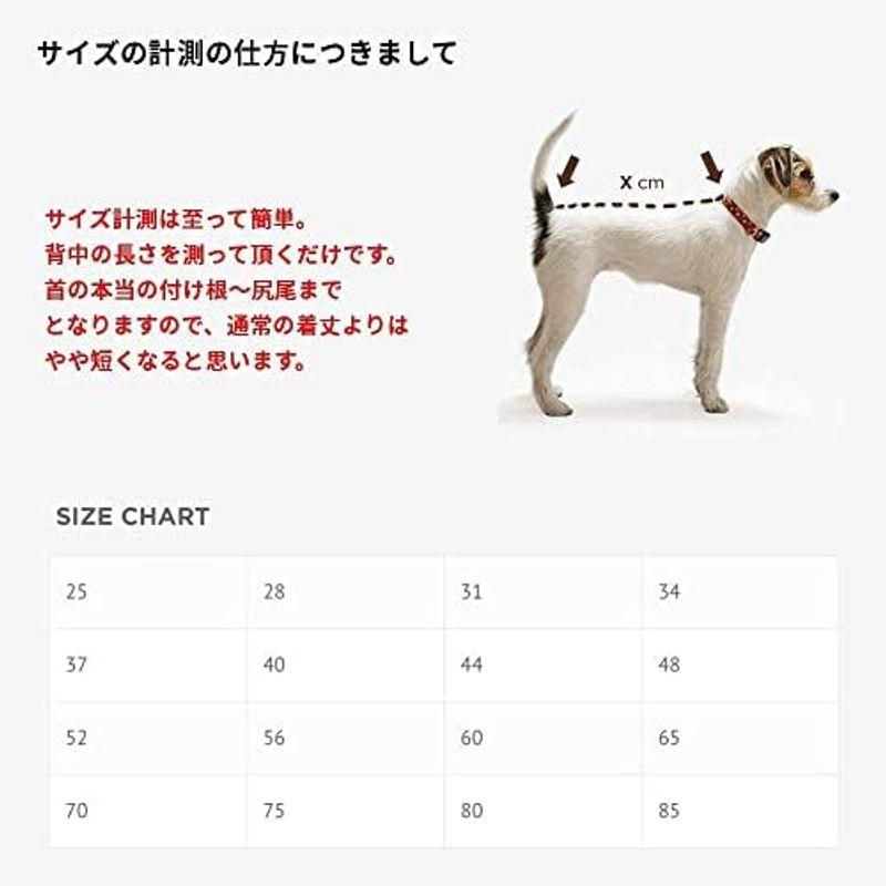 Pomppa(ポムッパ) ユンパ ポムッパ グラファイト 40 ポムッパ Pomppa ユンパ グラファイト