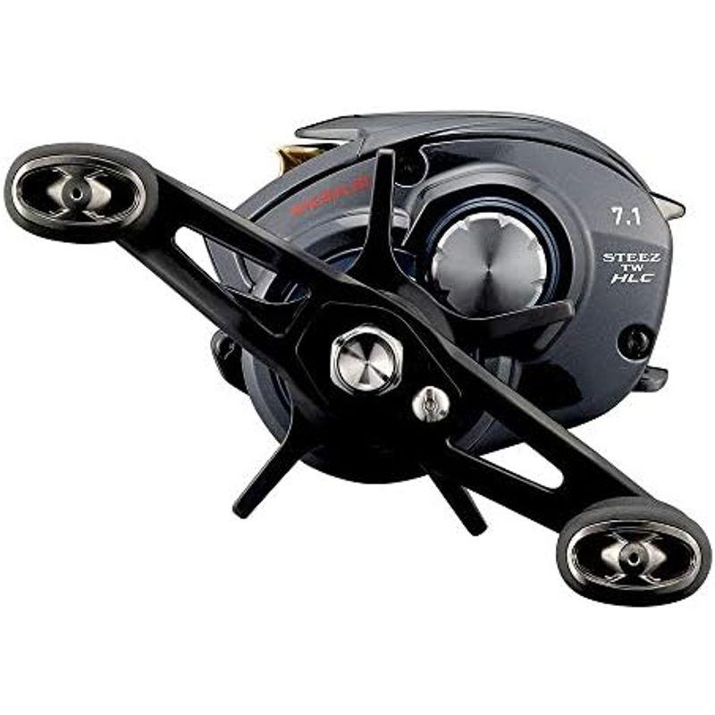 ダイワ(DAIWA) 21 スティーズ A TW HLC 7.1R｜tomy-zone｜16