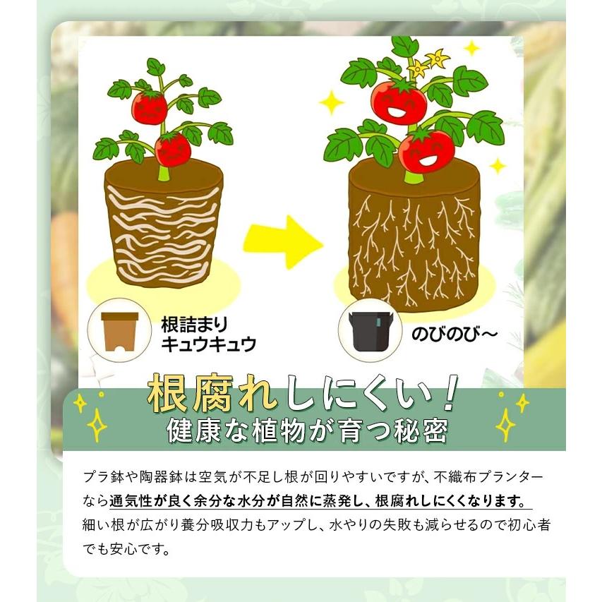 不織布プランター 3ガロン 5個入り 不織布ポット ベランダ栽培 植木鉢 幅24cm×高さ22cm 10リットル 家庭菜園 栽培袋 布袋 布鉢 8号 FORESIA |  | 04