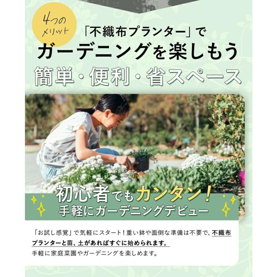 不織布プランター 12ガロン 2個入り フェルトプランター 植木鉢 13号 不織布ポット 幅40cm×高さ35cm 44リットル FORESIA |  | 03