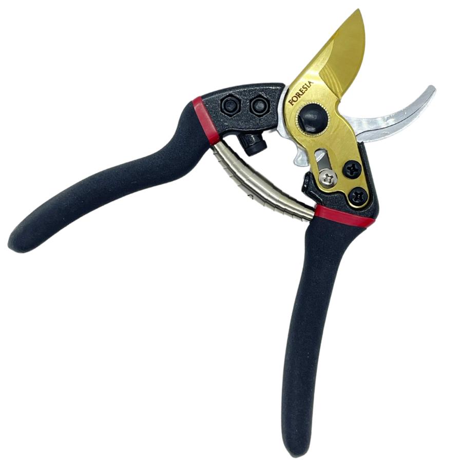 訳あり 剪定ばさみ サクサク切れる 錆びにくい チタンメッキ コンパクト 剪定バサミ 剪定鋏 せんていばさみ はさみ 園芸用 剪定 枝切り FORESIA フォレシア |  | 10