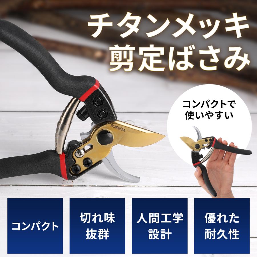 訳あり 剪定ばさみ サクサク切れる 錆びにくい チタンメッキ コンパクト 剪定バサミ 剪定鋏 せんていばさみ はさみ 園芸用 剪定 枝切り FORESIA フォレシア |  | 01