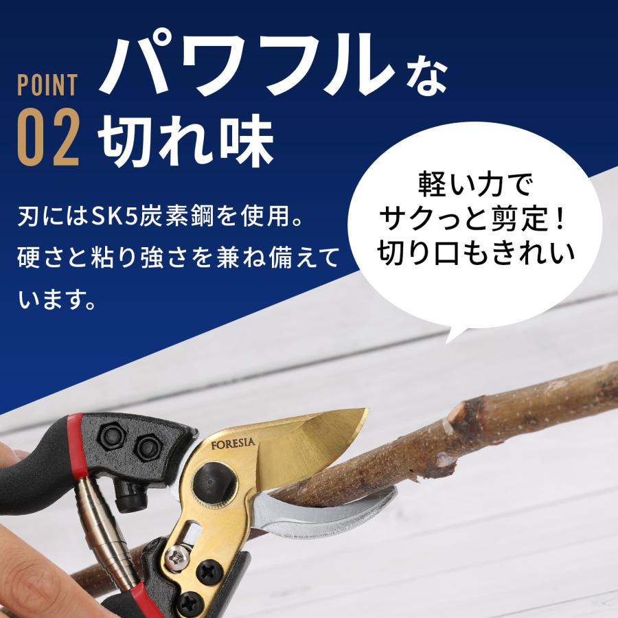 訳あり 剪定ばさみ サクサク切れる 錆びにくい チタンメッキ コンパクト 剪定バサミ 剪定鋏 せんていばさみ はさみ 園芸用 剪定 枝切り FORESIA フォレシア |  | 04