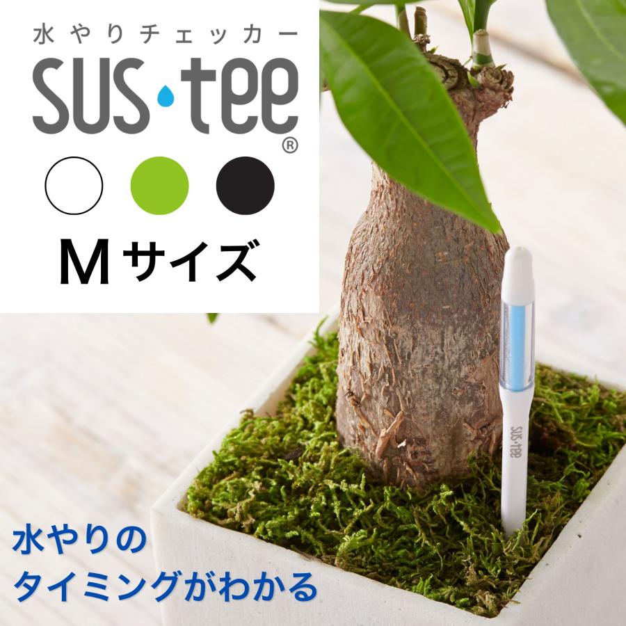 サスティー Mサイズ SUStee 水やりチェッカー SUS tee C-0012 | 