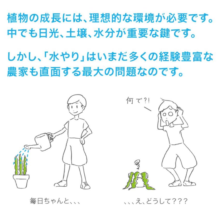 サスティー Sサイズ 2本セット 水やりチェッカー SUS tee C-0011 |  | 03