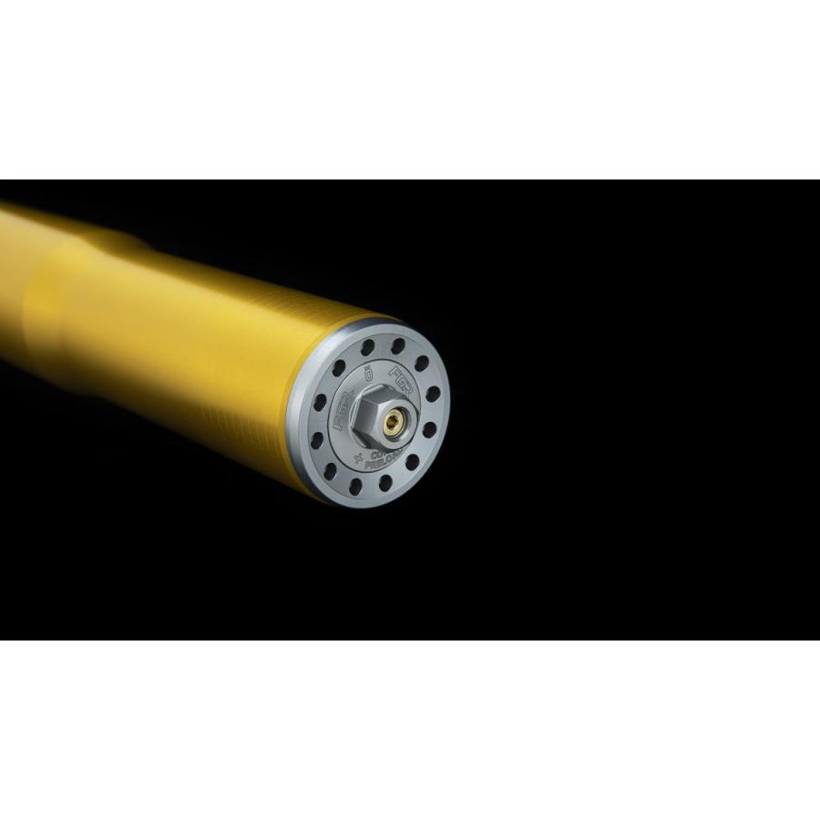 OHLINS　オーリンズ レーシングフロントフォーク　FGR252　YAMAHA YZF-R1 2015 -2022 YZF-R6　2017-2022 | OHLINS | 06