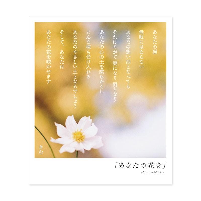 詩人きむ 言葉の花束ポストカード あなたの花を 名言 格言 詩人 言葉 ことば 夢 勇気 元気 卒業 旅立ち 感謝 教員 先生 メッセージ いろはショップオンライン 通販 Yahoo ショッピング