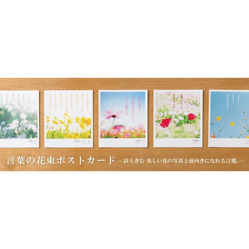 詩人きむ 言葉の花束ポストカード 奇跡 名言 格言 詩人 言葉 希少 ことば 夢 感謝 元気 卒業 勇気 旅立ち 教員 先生 メッセージ