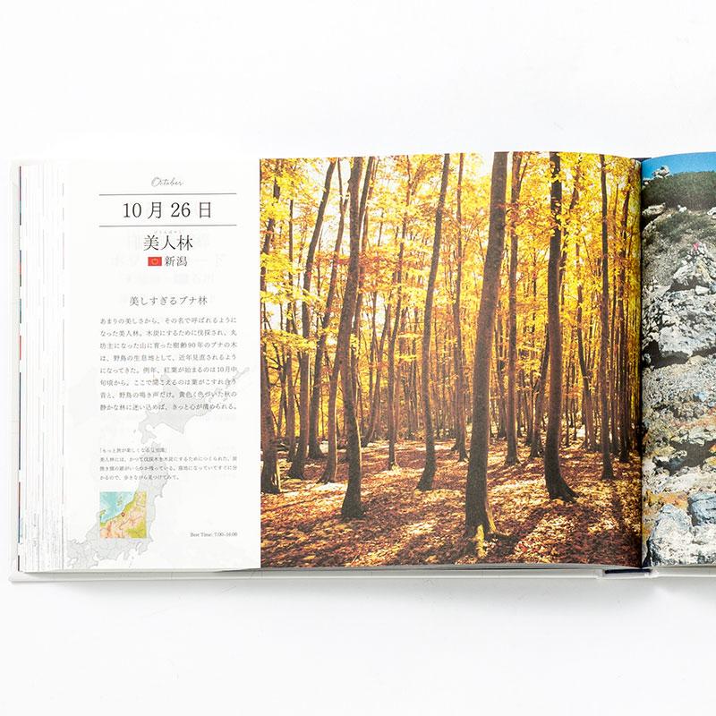 365日 日本一周 絶景の旅 新装版 写真集 景色 旅行 旅 自然 ガイド 海外旅行 paspol PAS-POL パスポル｜tonary｜04